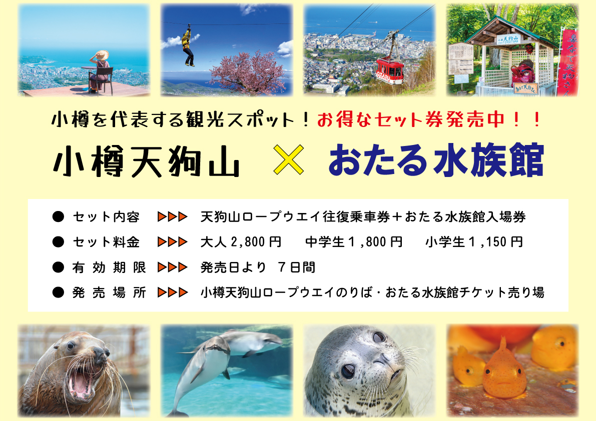 小樽天狗山×おたる水族館のセット券販売 - 【公式】小樽天狗山ロープウェイ/スキー場|北海道三大夜景